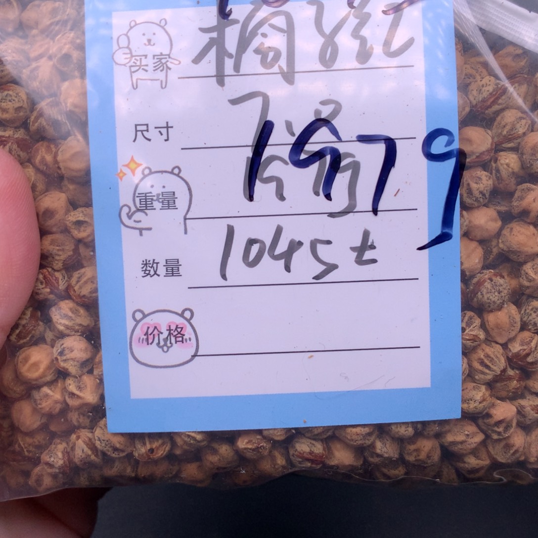 橘***红柏香籽/百香籽吊坠