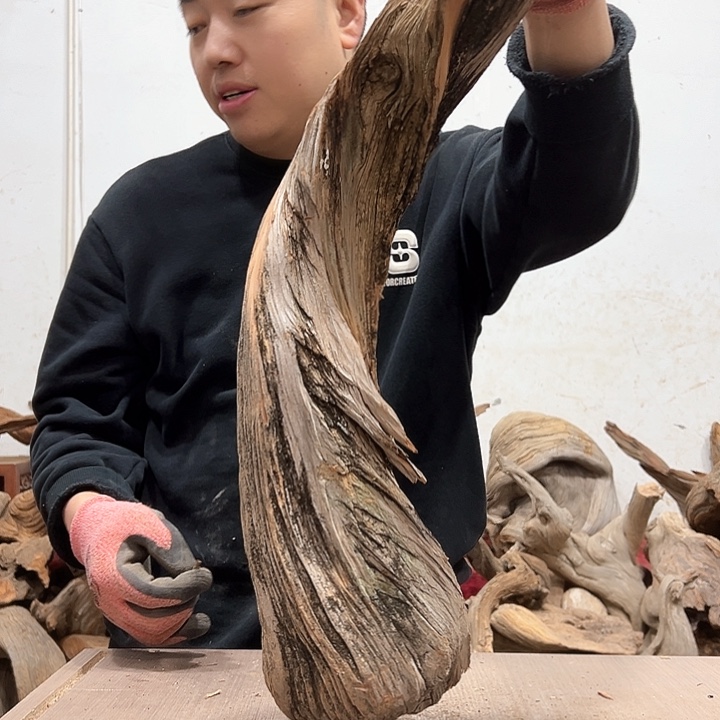 柏木壹*堂我们的生活也是如此吧