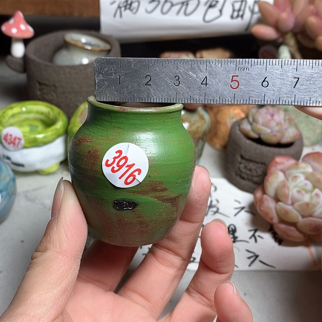 红陶拍5送一个小