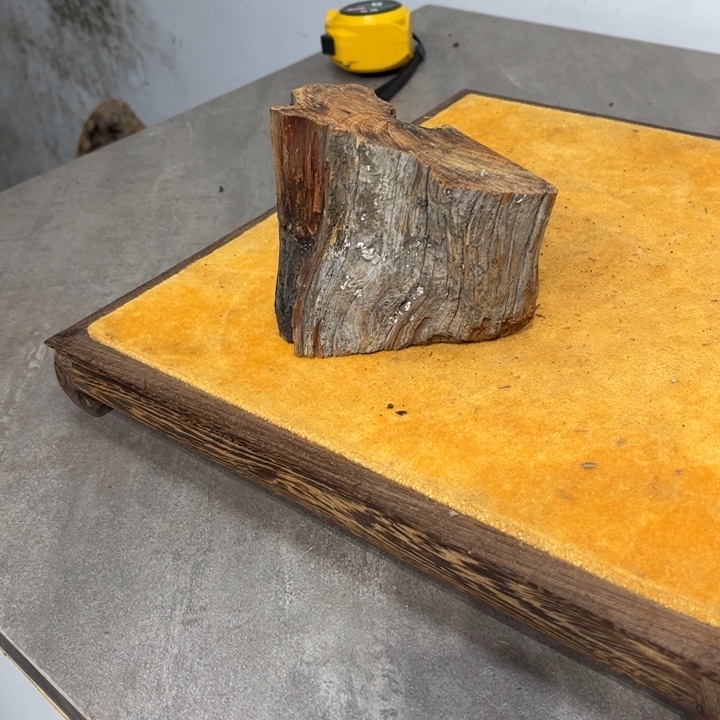 网***3柏木崖柏等自然资源和自然资源丰富