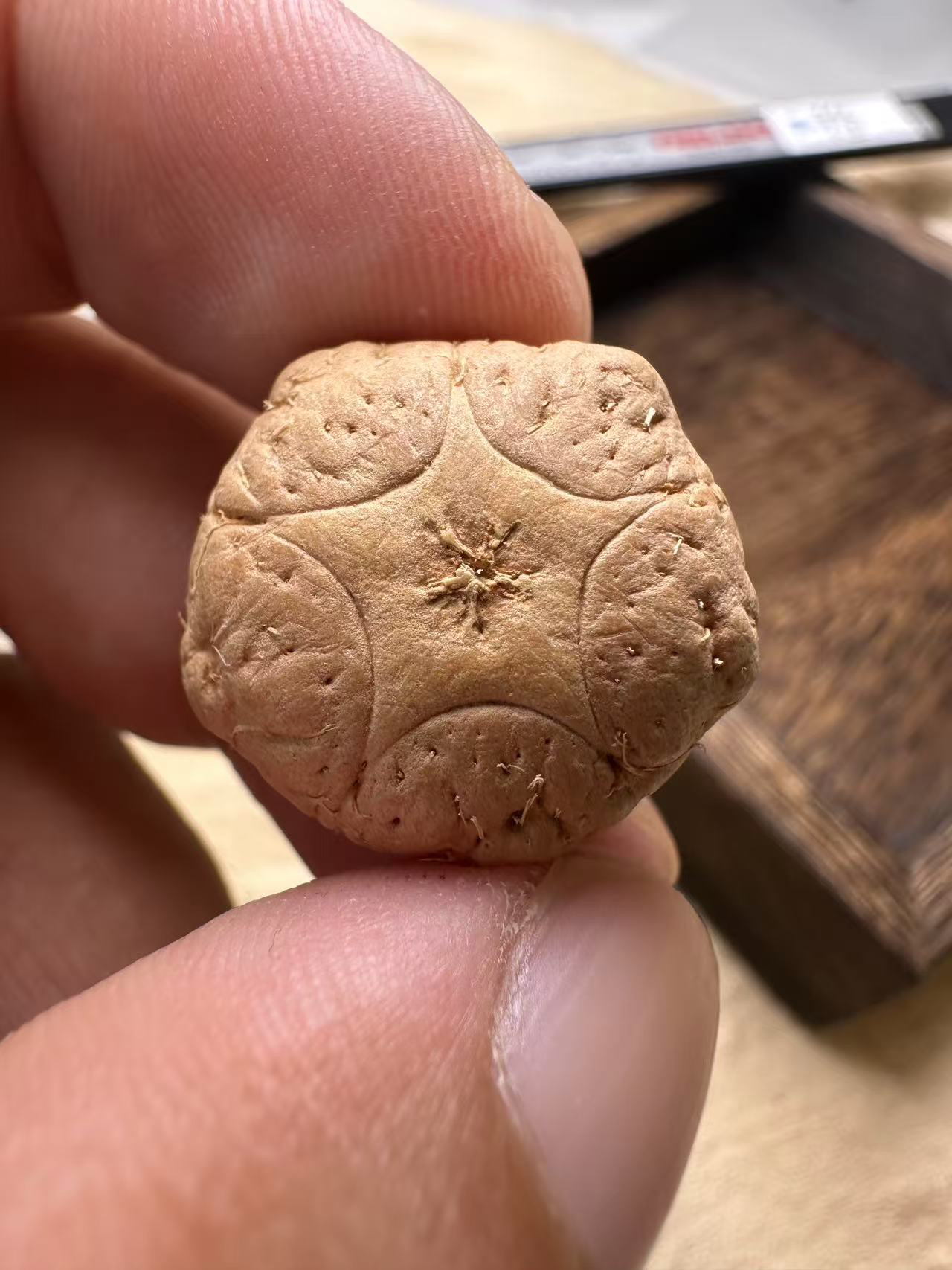 尼泊尔新籽五星三通佛头21➕ 