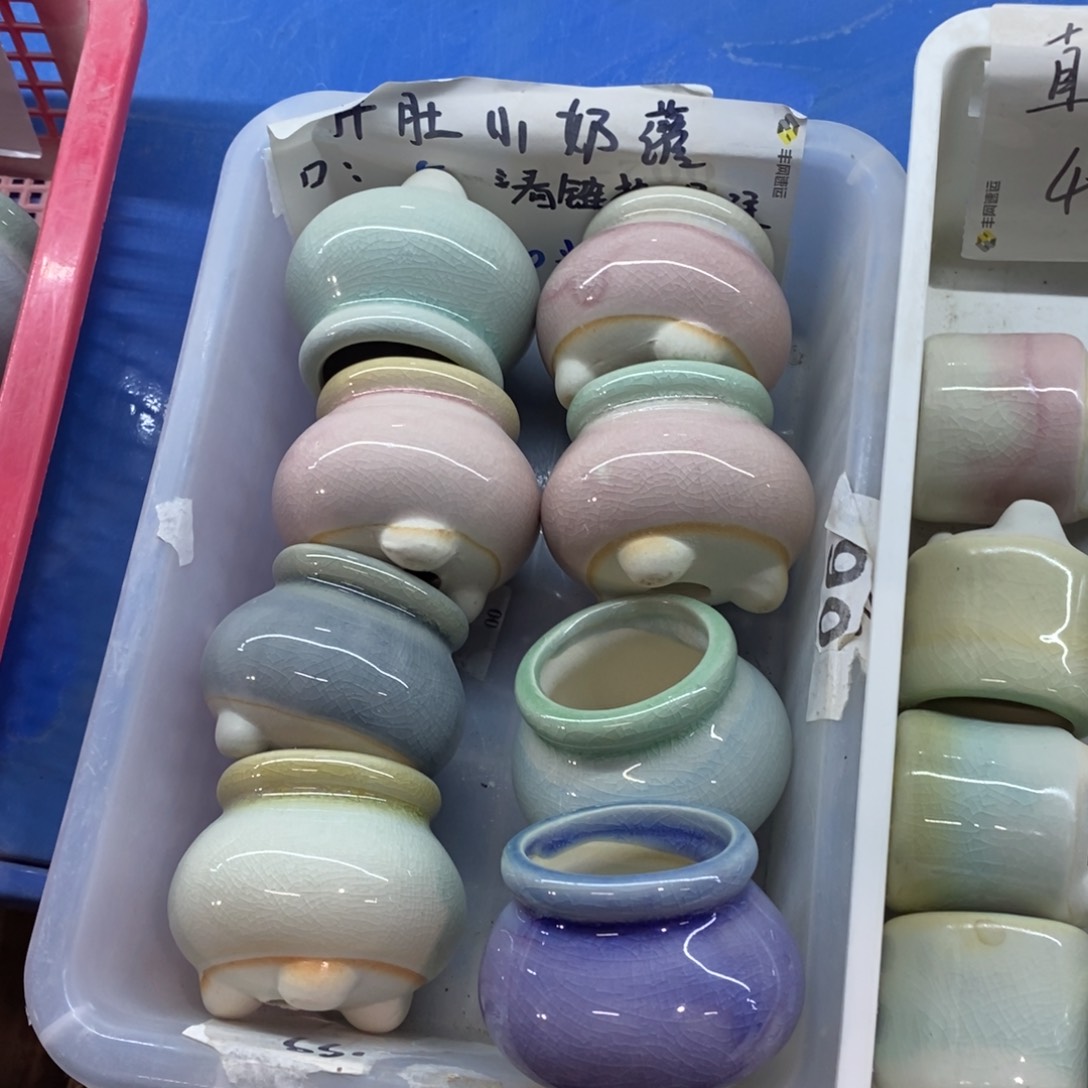 红陶「当天凑单满10米包邮」随机3个