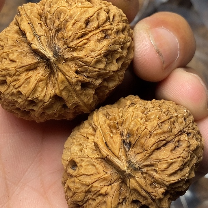 把件文玩核桃云南铁核桃15号43mm