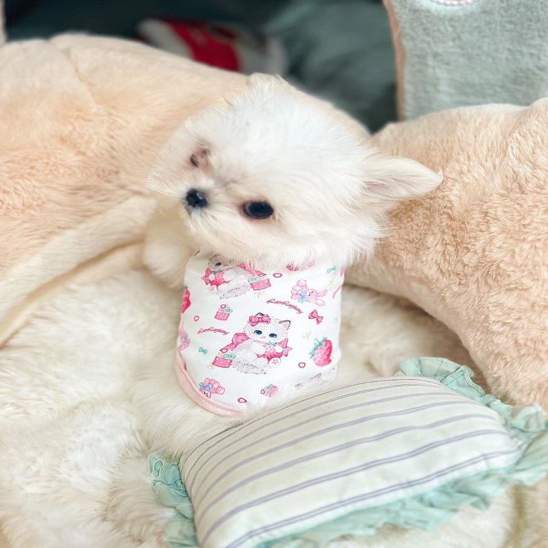 秋冬加绒宠物衣服狗狗猫咪保暖背心小型犬可爱马甲公主棉衣