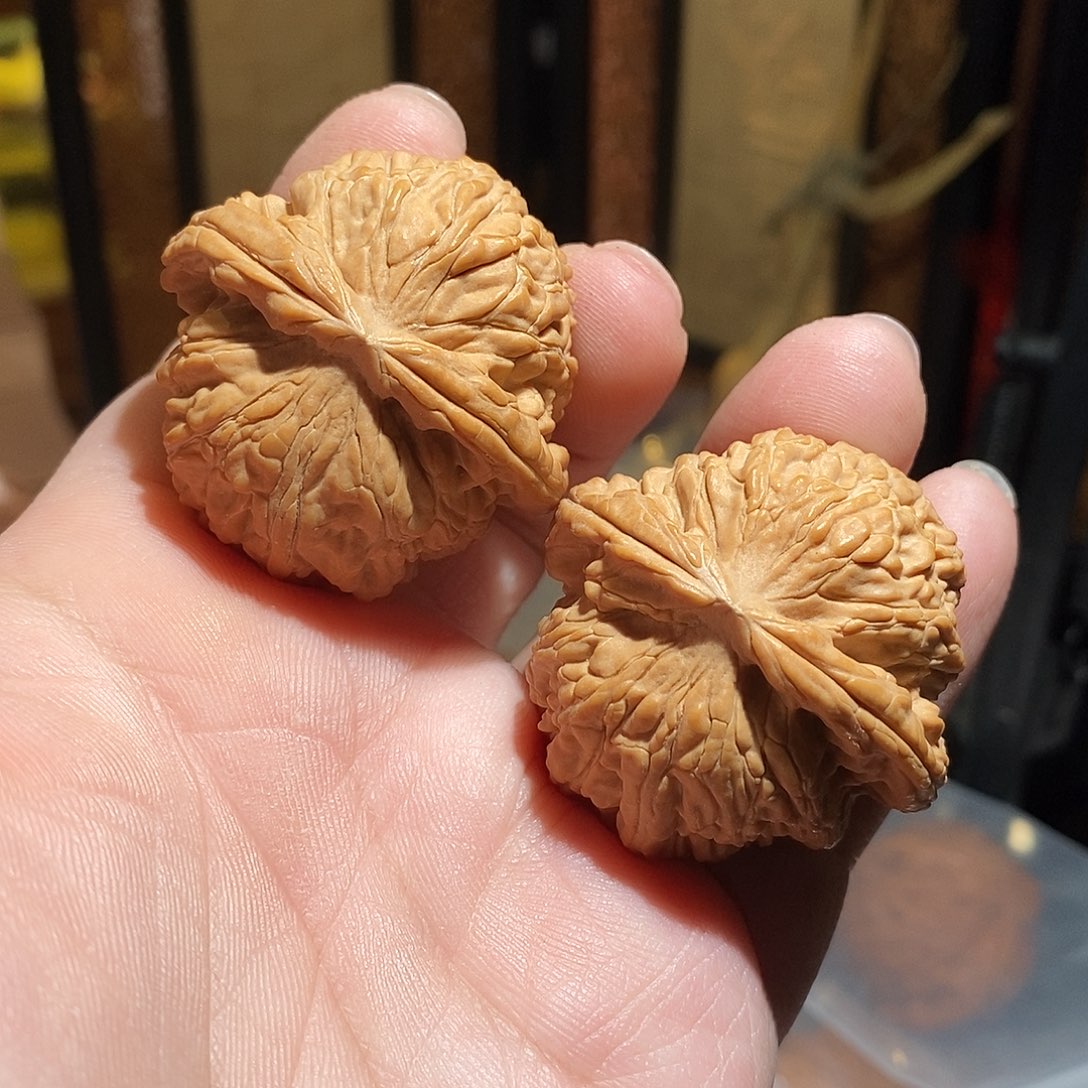 文玩核桃把件东****垫42白狮子全品