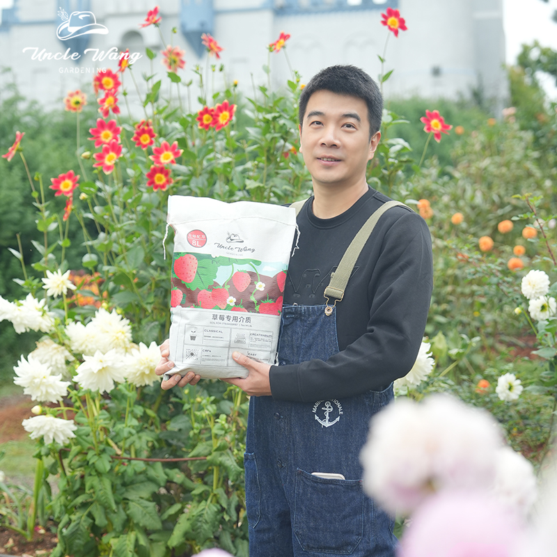 种花王大爷 8L通用草莓土进口泥炭配方花土泥炭土