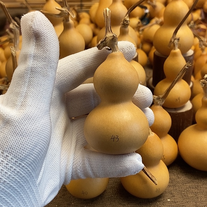 文玩葫芦 完美主义者 慎拍43