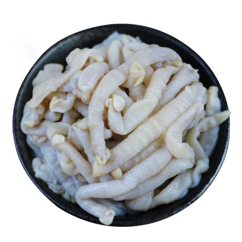 新鲜沙虫 顺丰冷链 厦门发货