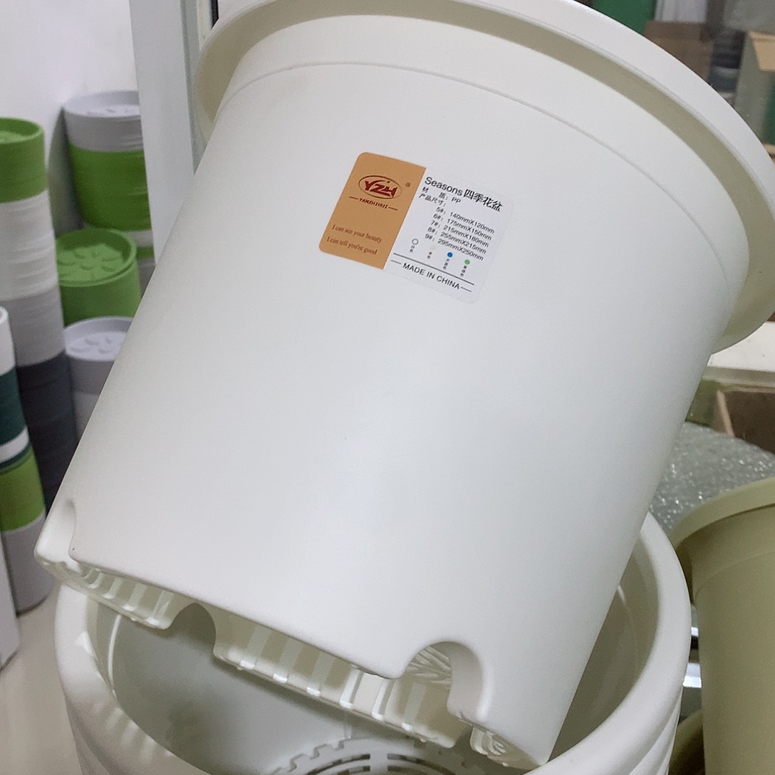 四季口29白5个无托