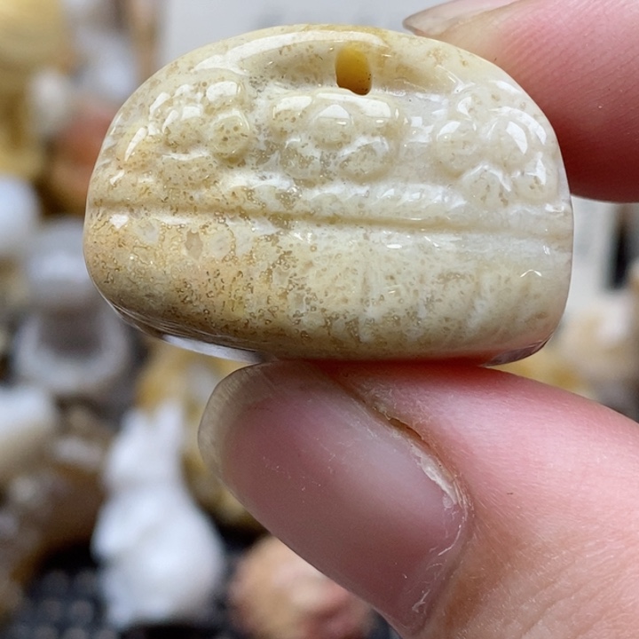 颈饰未镶嵌硅化珊瑚（珊瑚玉）小