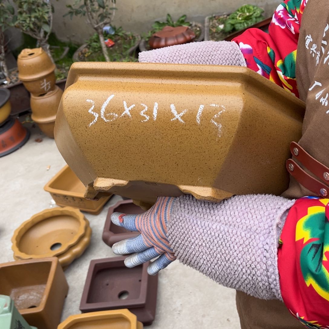 紫砂花盆盆景艺术