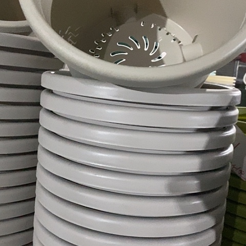 树脂四季5号灰白无托10个