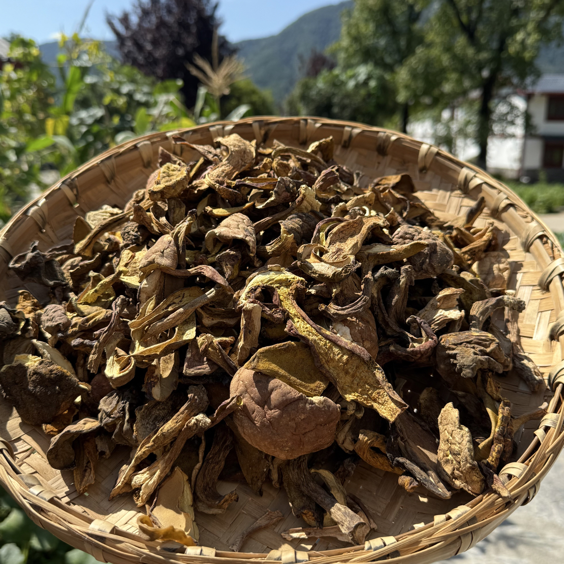 见手青牛肝菌干货 高山牛肝菌煲汤好吃