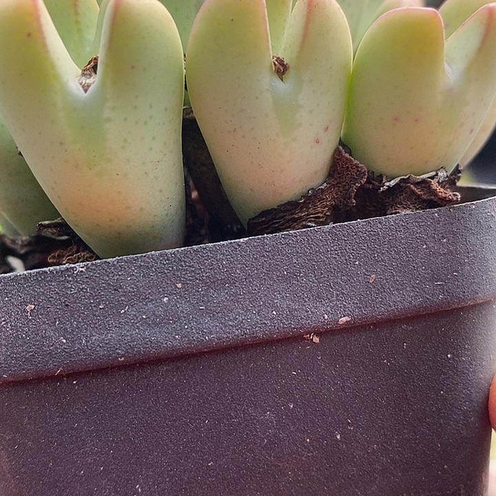 这样你会发现原来自己真的4028