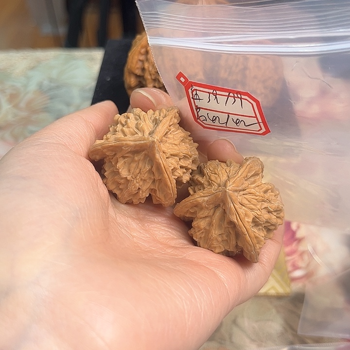 文玩核桃把件盘山三棱