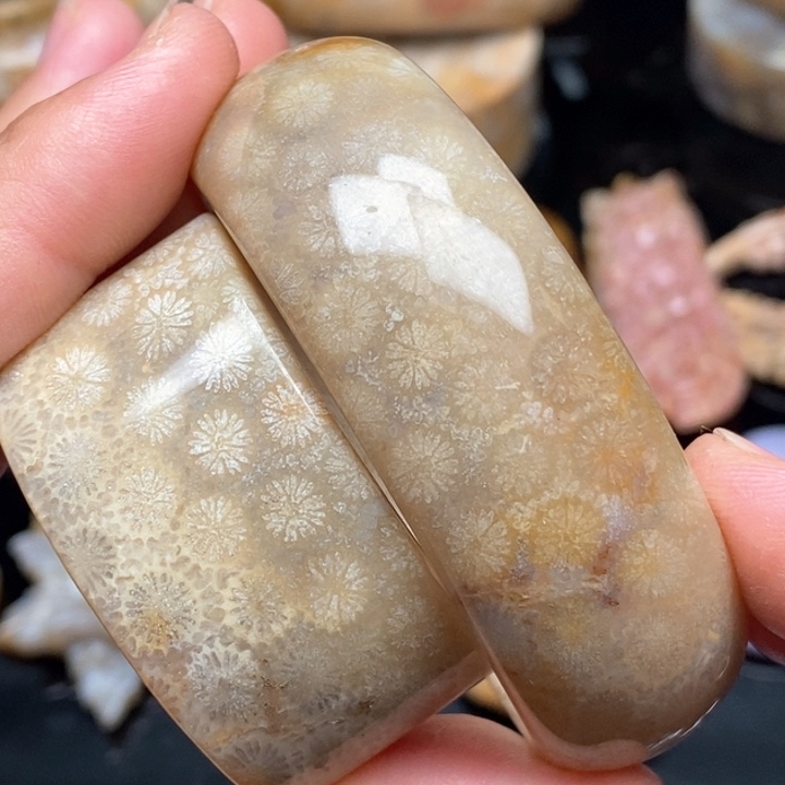 硅化珊瑚（珊瑚玉）手镯未镶嵌50 51