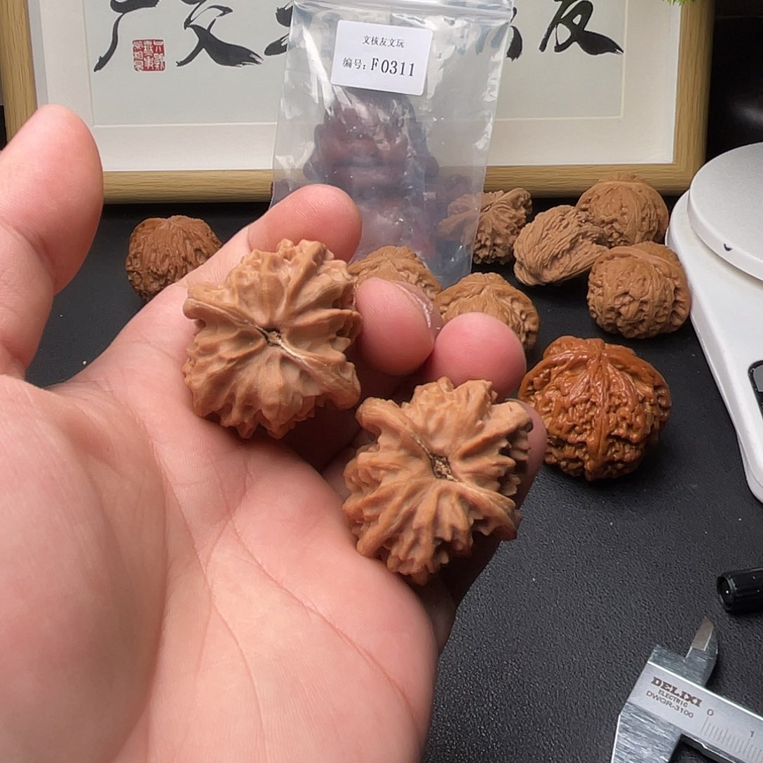 江***月F311曹大龙36+尺全品