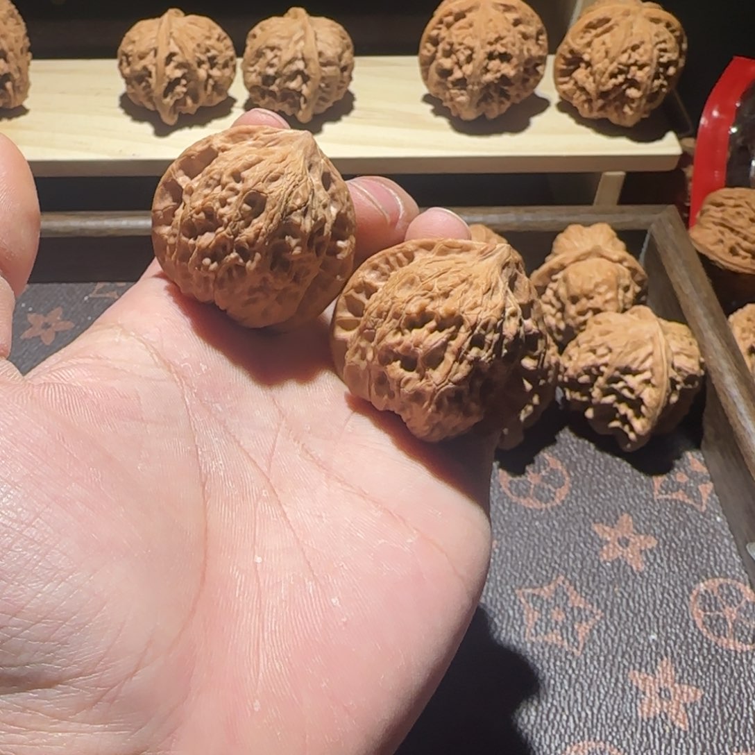 金工资 公子冒全品