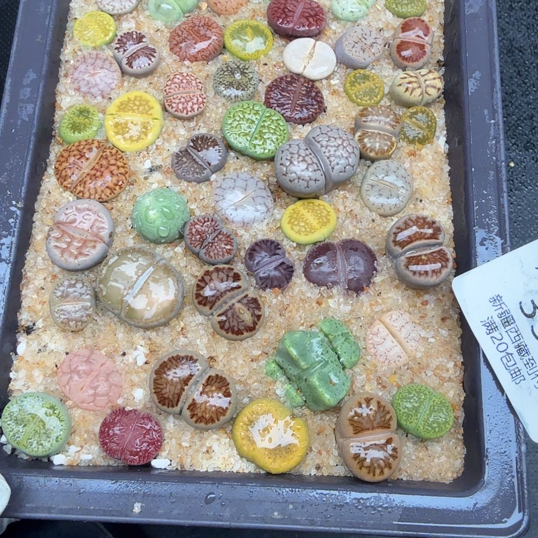 不用我送过去咯的咯330这个