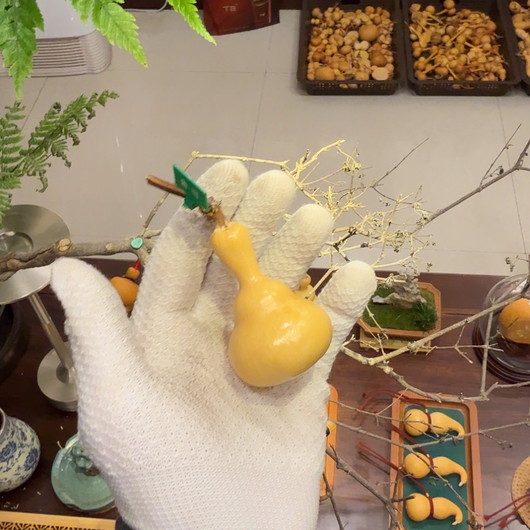 T***雨舎得出品精选葫芦SHEDE