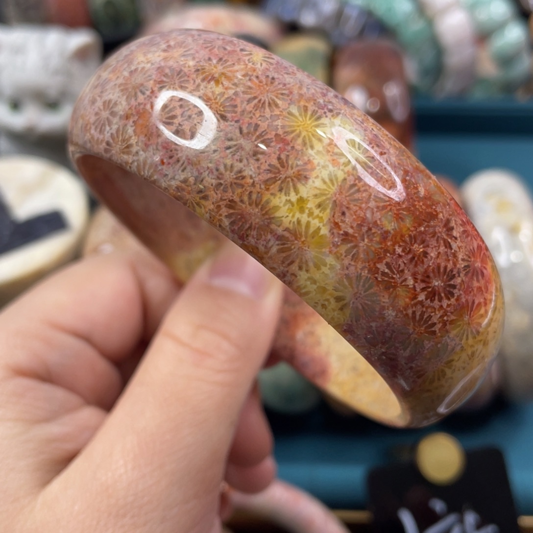 未镶嵌手镯硅化玉