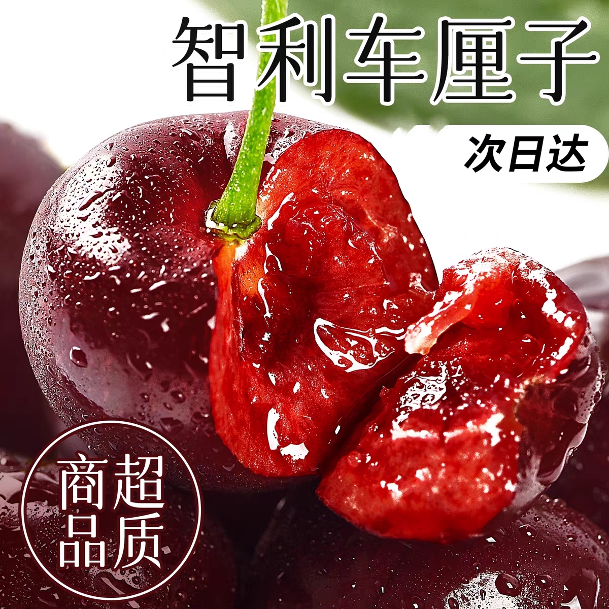 （沈阳发货）智利进口车厘子  海运3JD 5斤桑提娜 内符果径卡 京东包邮桑提娜智利