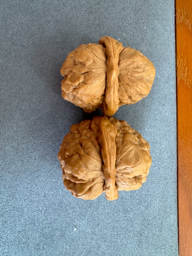 44mm经典蛤蟆头核桃