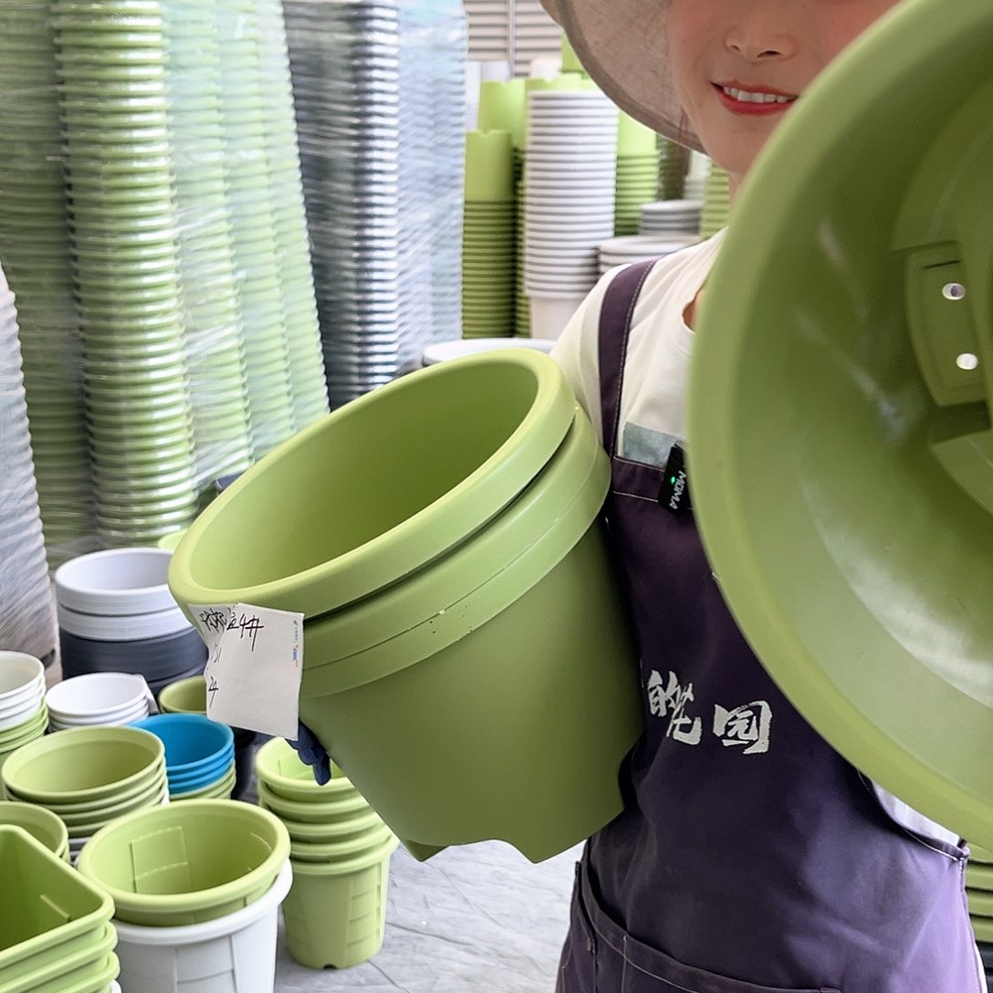 球根盆4#果绿色5个无托