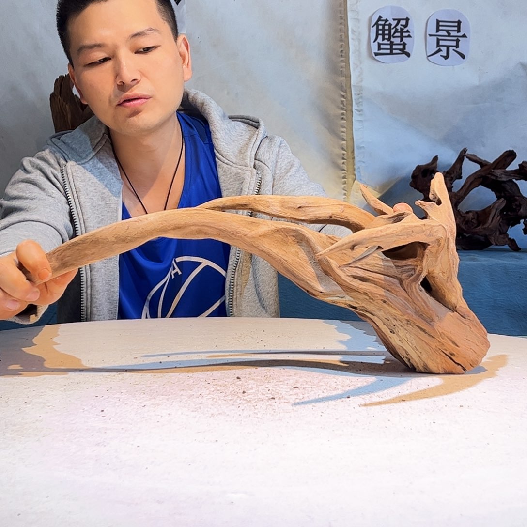 沉木造景爬宠造景