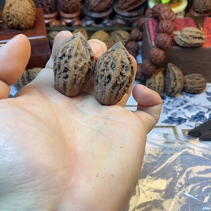 核桃东北楸子龙脊12