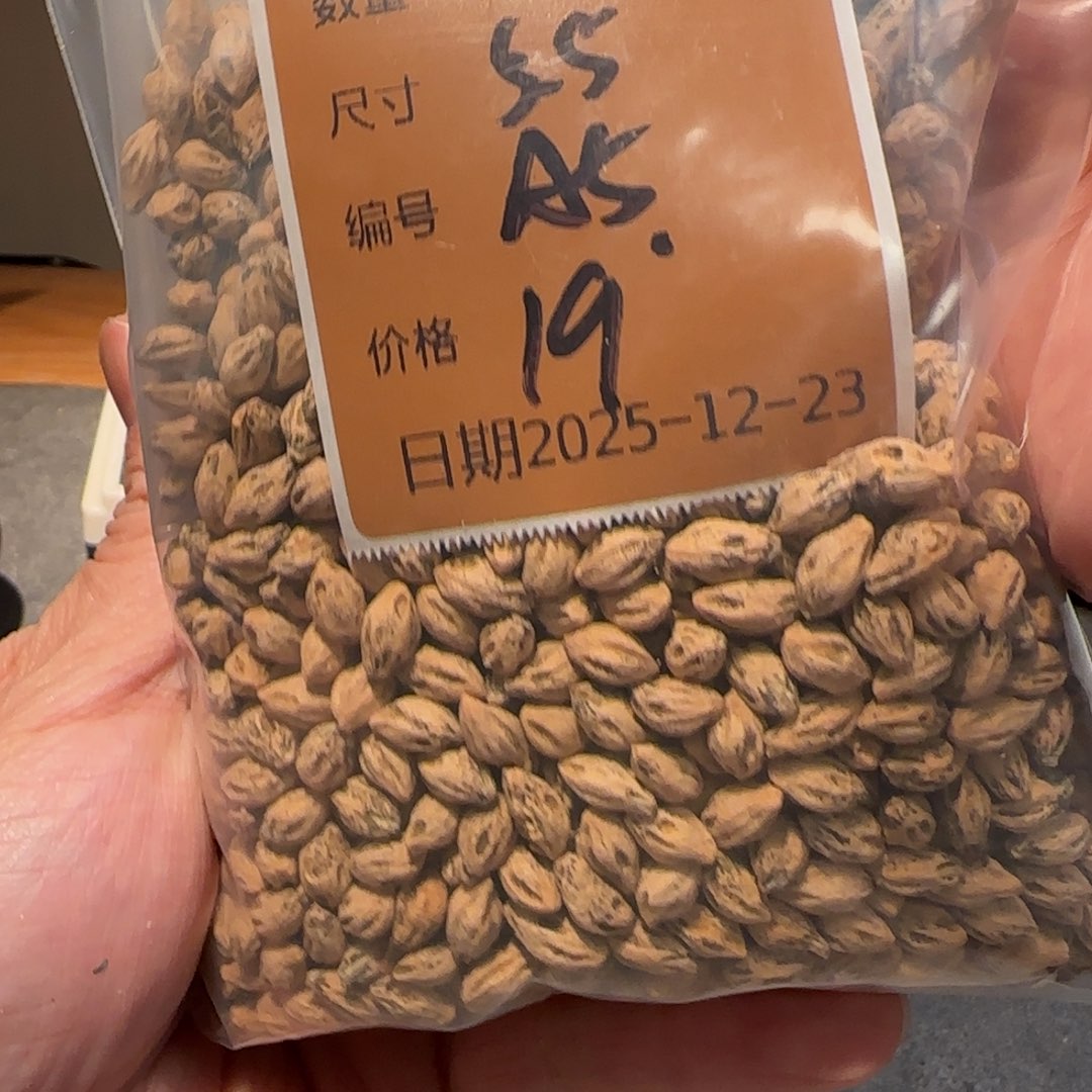 宝***石柏香籽/百香籽吊坠A5