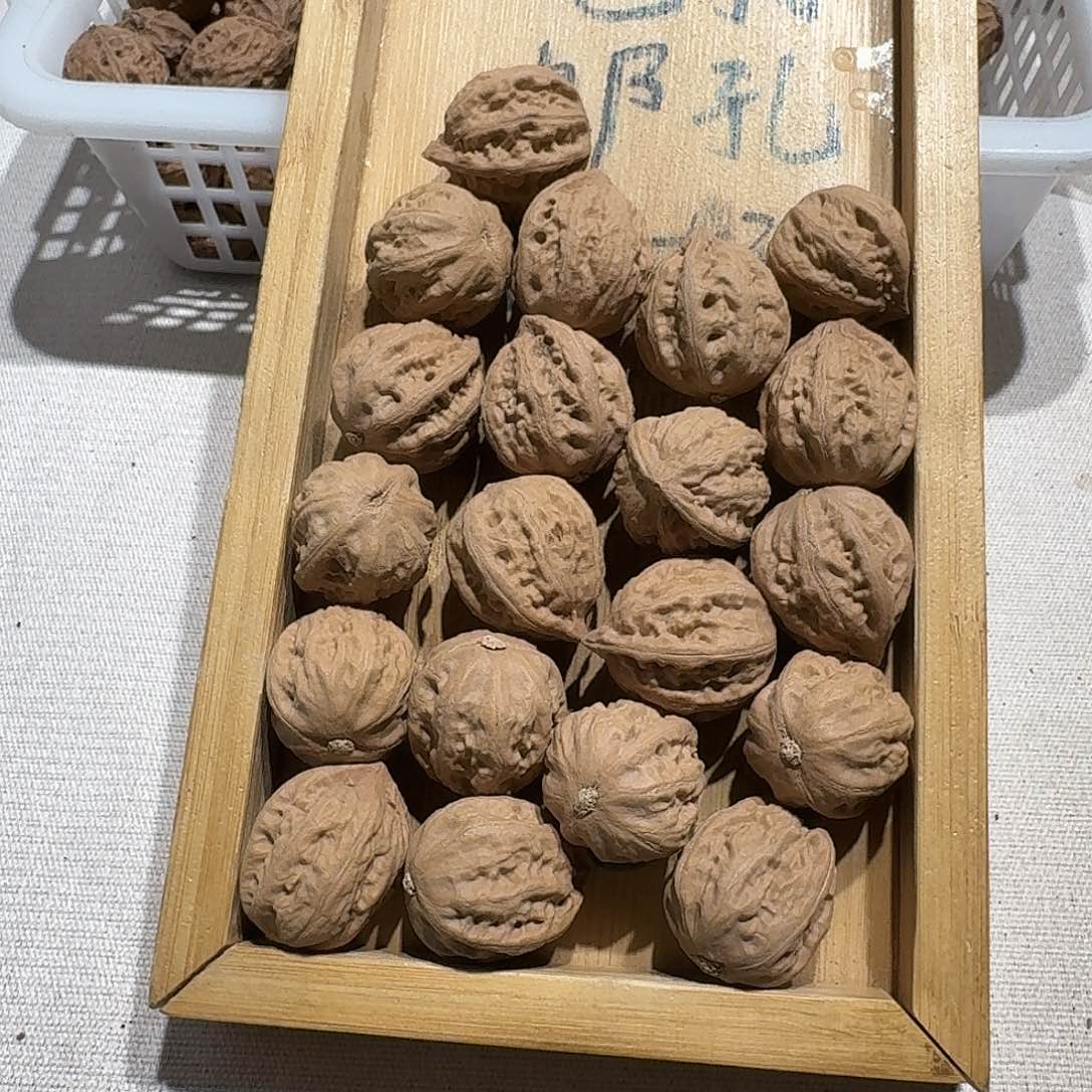 核桃手串/手链13号边23手持