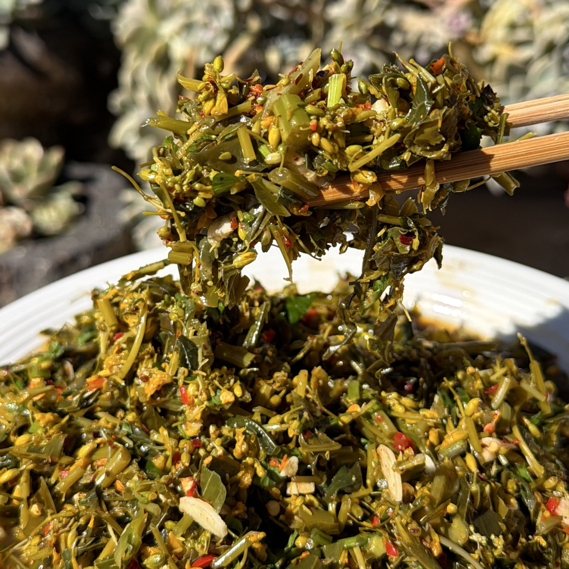 云南特产油菜花腌菜酸爽脆