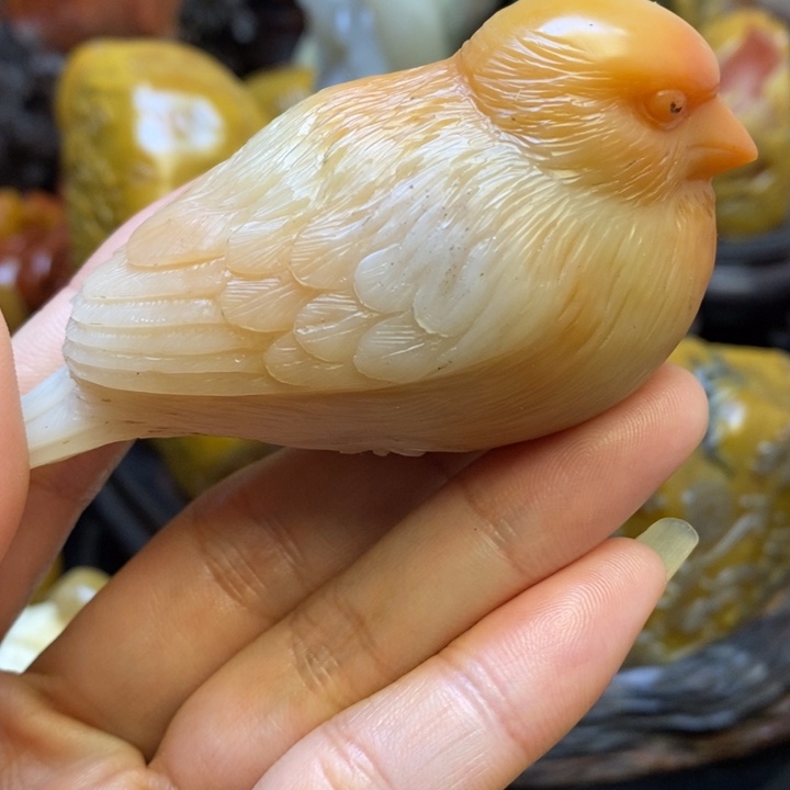 寿山石寿山石。。。。