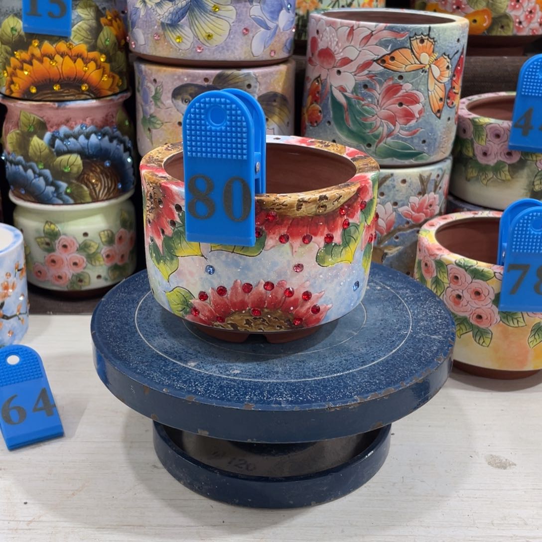 多肉花盆顶冠微瑕