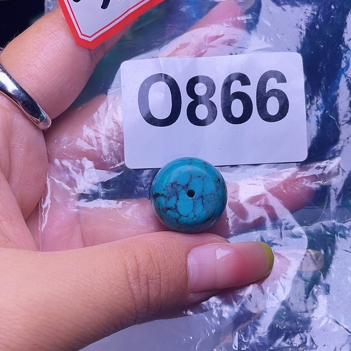 空竹粉丝福利专享