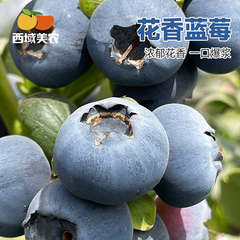 西域美农四川花香蓝莓125g*4盒装新鲜采摘应季蓝莓孕妇水果发京东