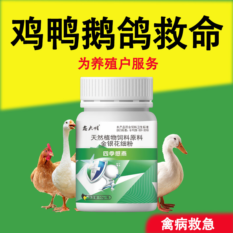 鑫大明四季感泰鸡鸭鹅鸽子鹌鹑家禽养殖