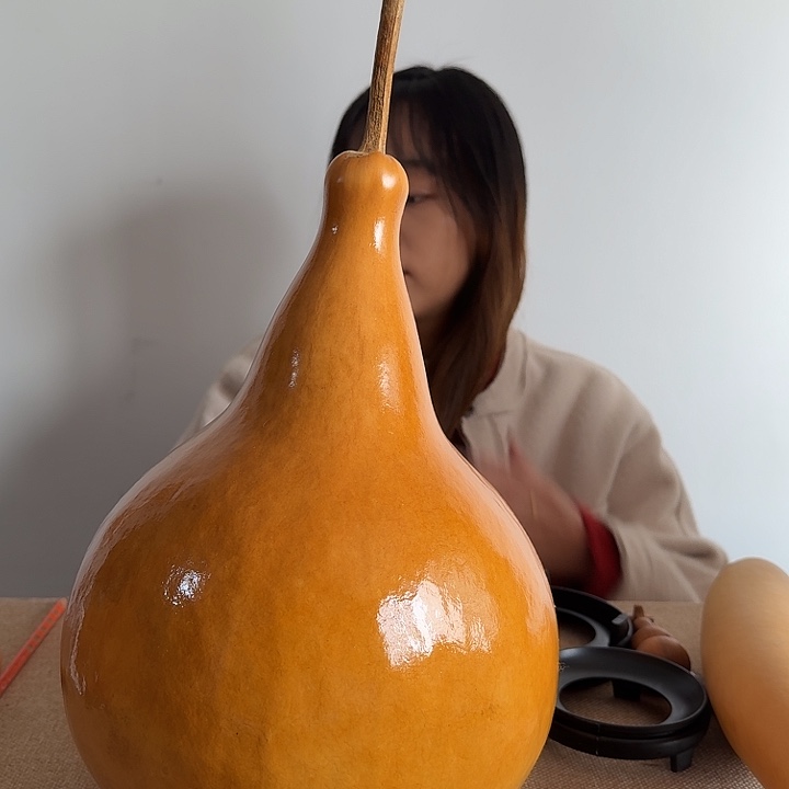 文***˳大叶紫檀（黑酸枝木类）