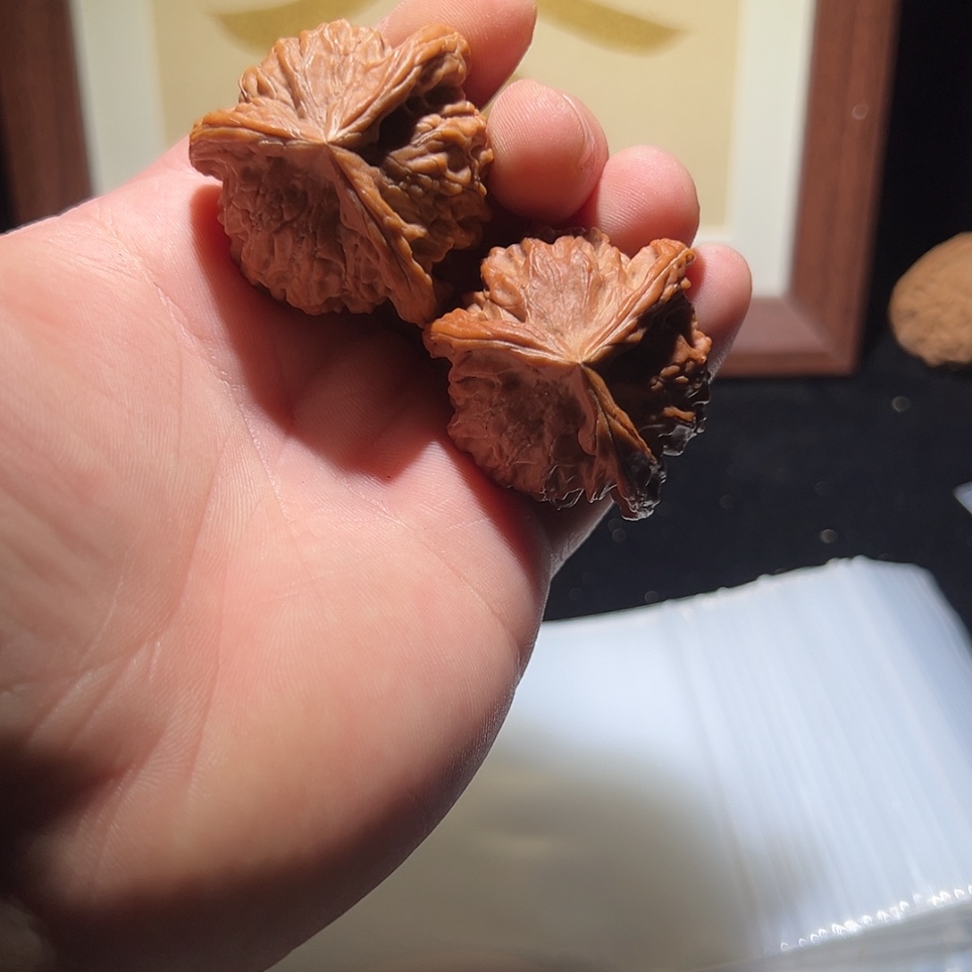 核桃哈哈哈哈哈哈哈哈哈哈哈哈哈