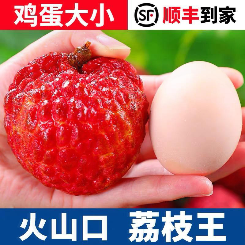 【顺丰冷链】现货海南火山口荔枝王当季新鲜1-4.5斤特大果