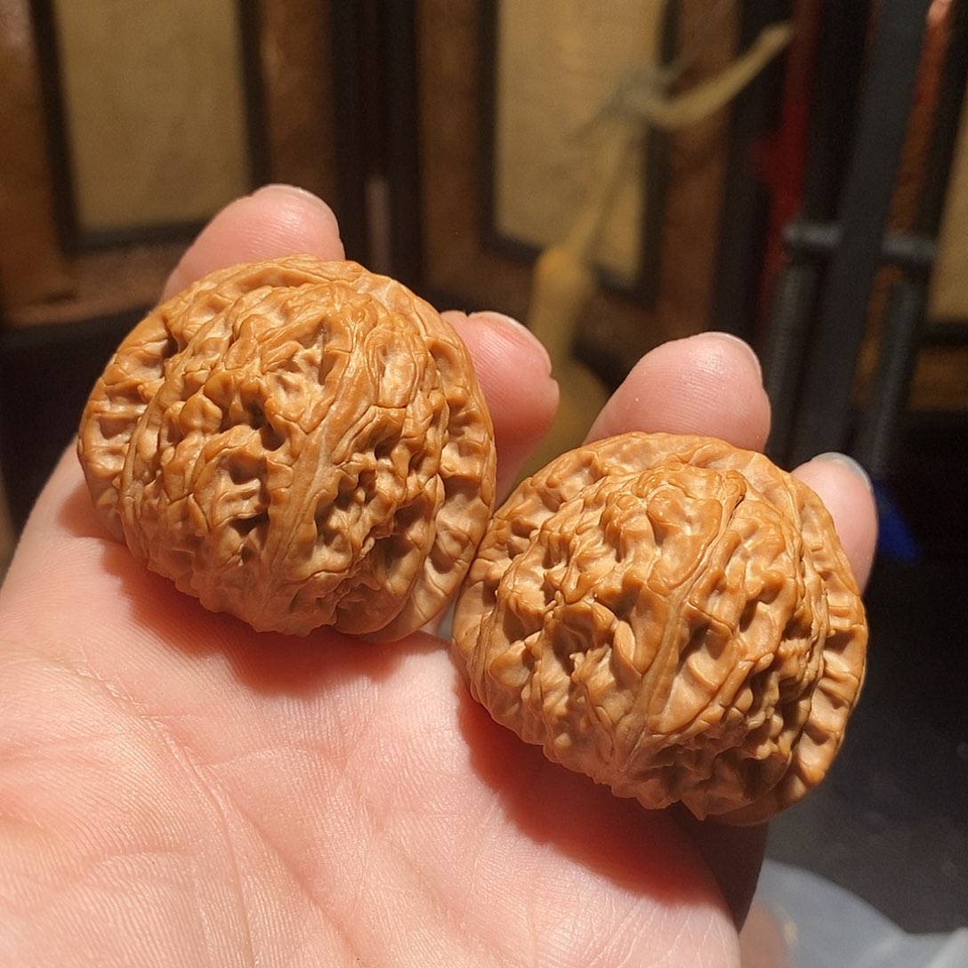 文玩核桃把件42白狮子全品