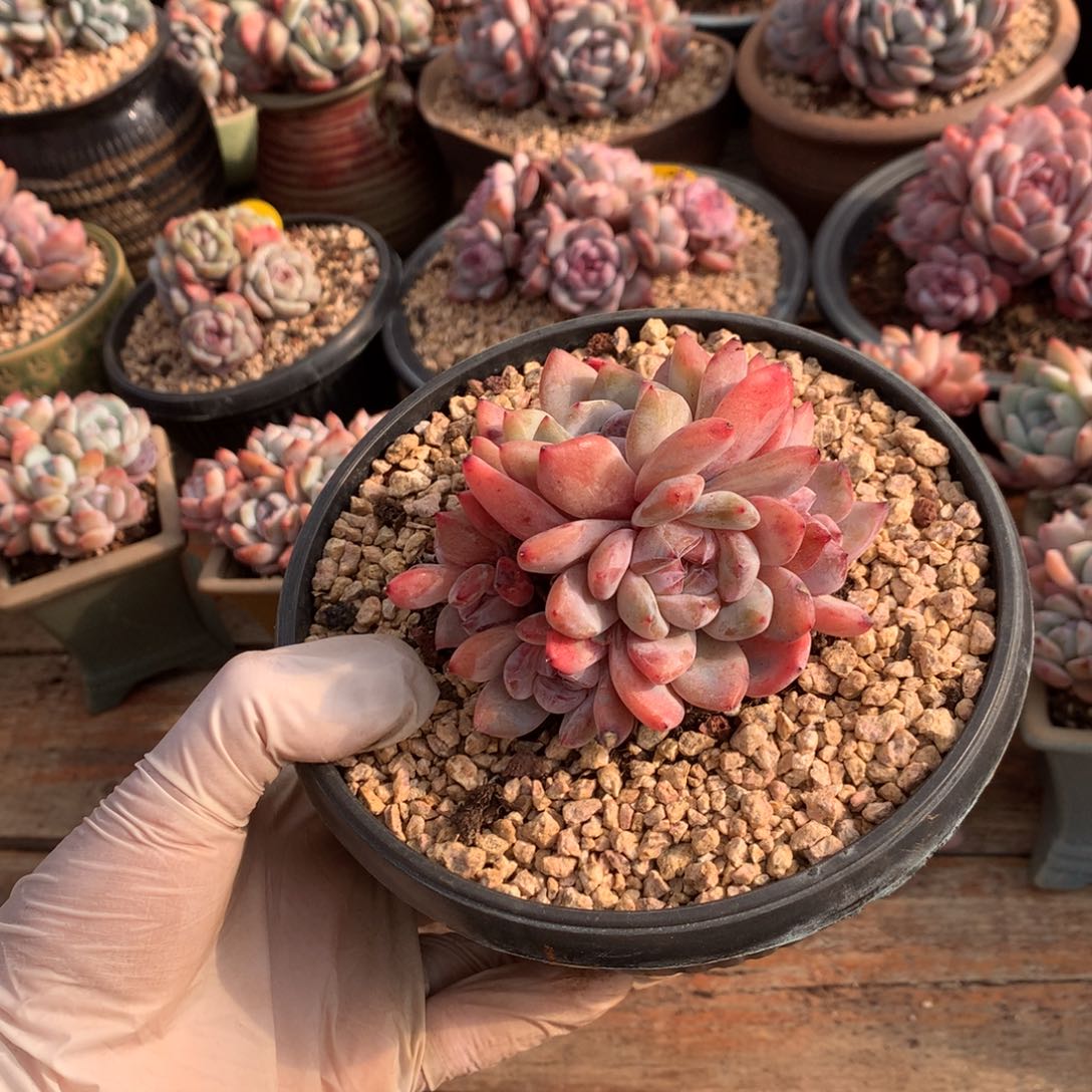 哈哈哈哈哈哈哈哈哈哈哈