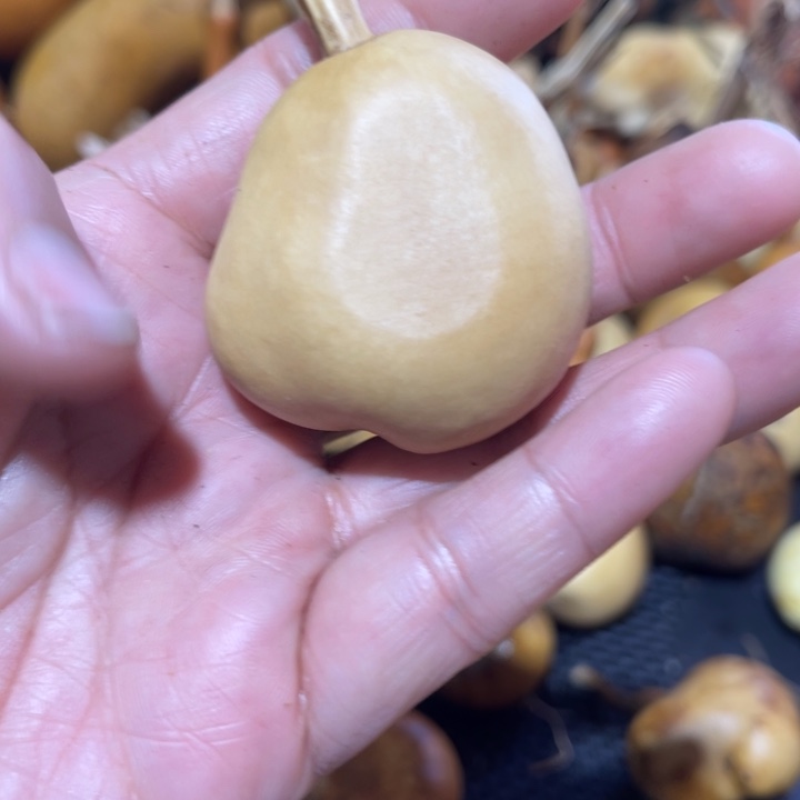 一***.葫芦哈哈哈哈哈哈哈哈哈哈