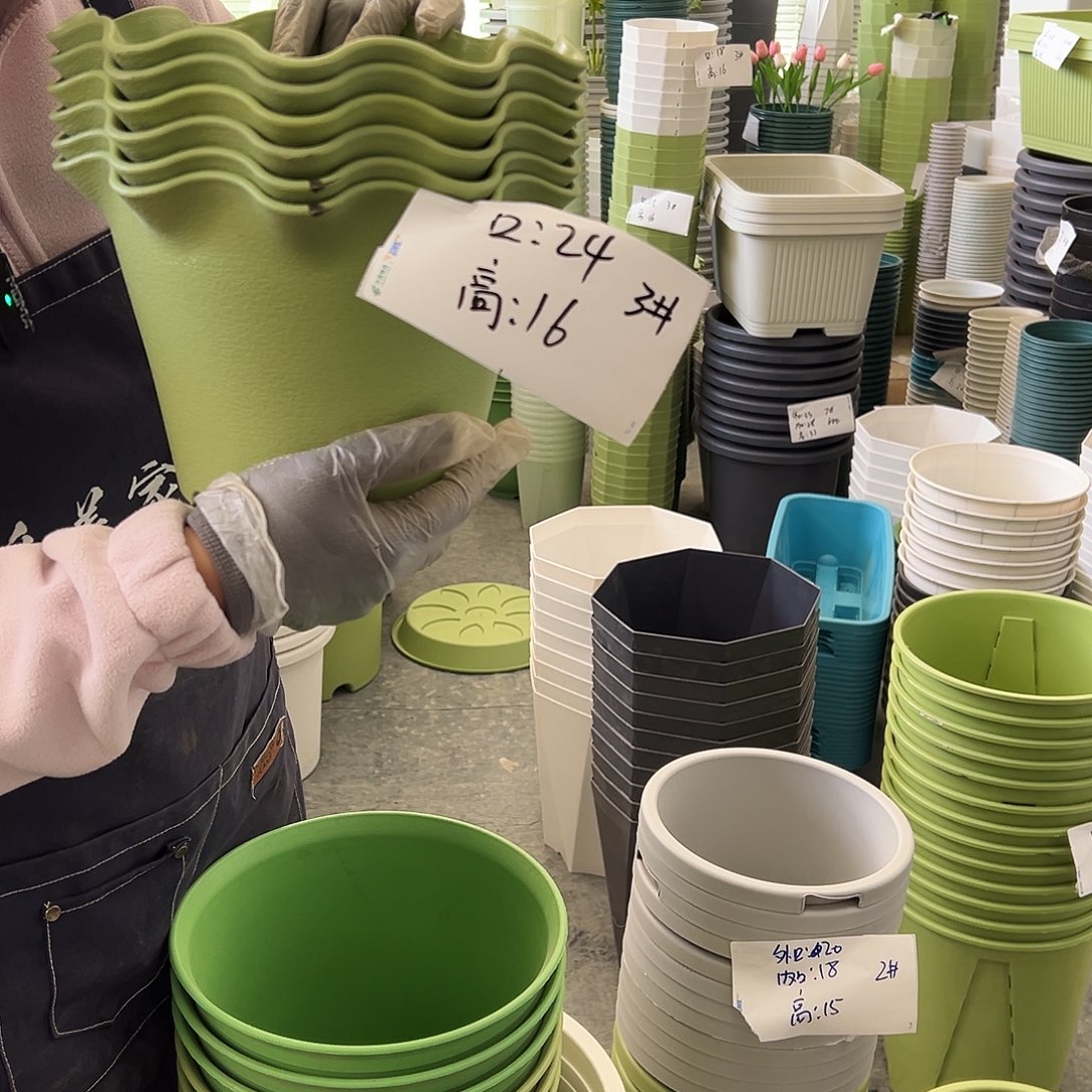 瑕疵荷叶边3#果绿色6个无托