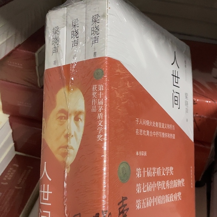 人世间  平装带塑封