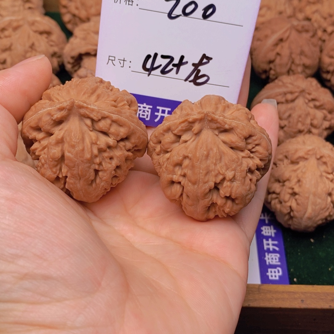 文玩核桃霸王龙核桃