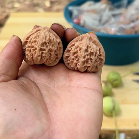 【闪购商品】文玩核桃把件宫灯