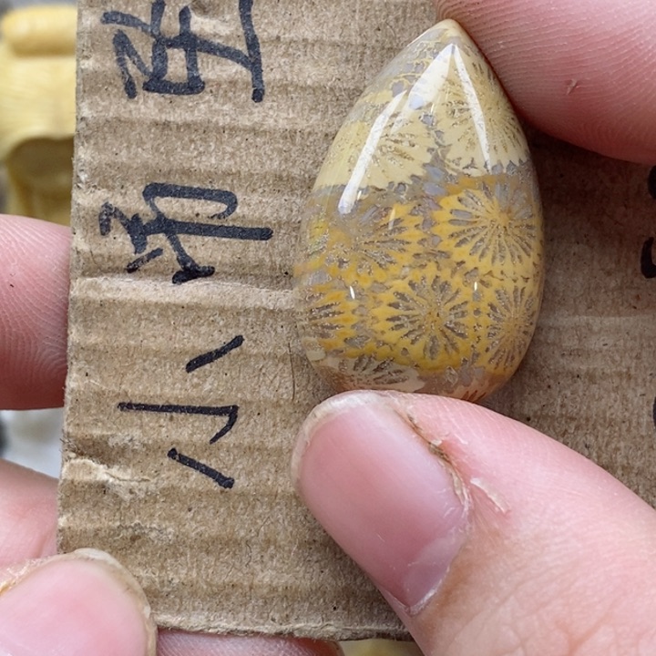 颈饰未镶嵌硅化珊瑚（珊瑚玉）云**轻