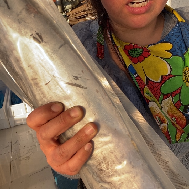 我***糖中国大陆渤海湾野生刀鱼2.85斤两条